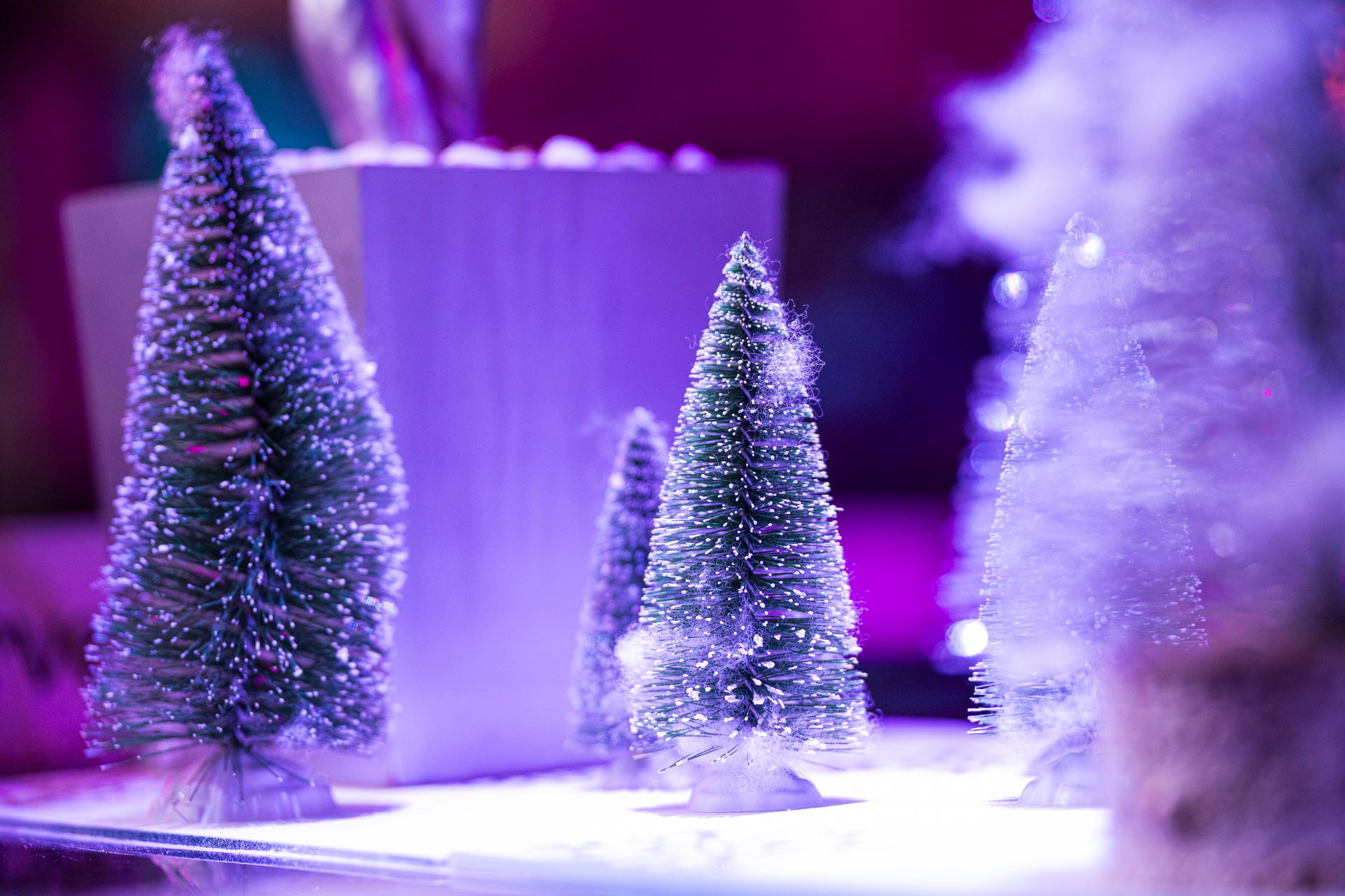  html    head  title 500 Internal Server Error  title   head    body    center  h1 500 Internal Server Error  h1   center    hr  center nginx 1.29.3  center     body     html 