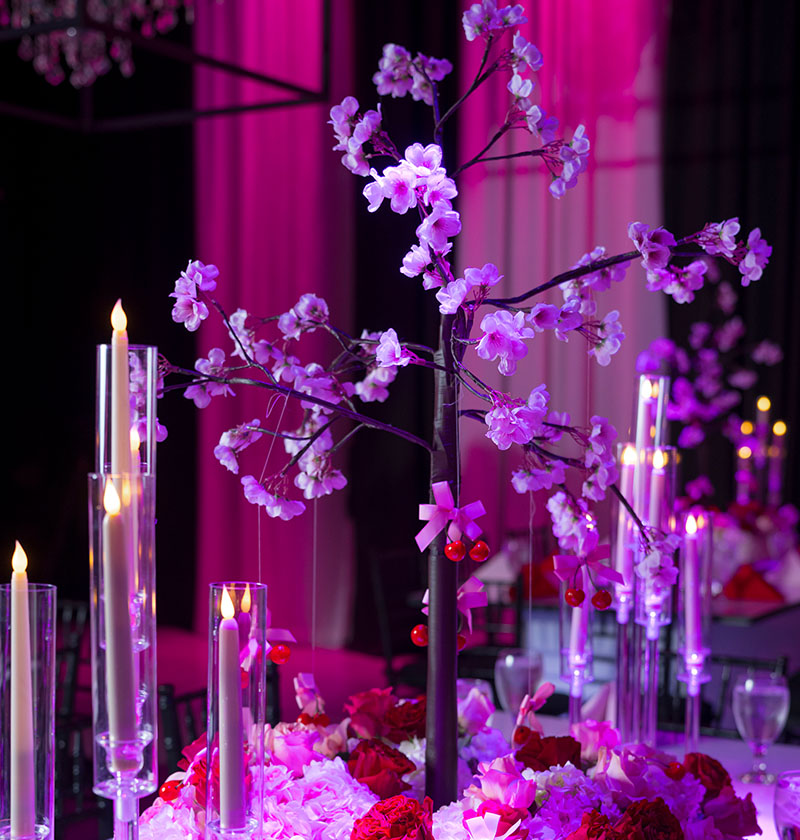  html    head  title 500 Internal Server Error  title   head    body    center  h1 500 Internal Server Error  h1   center    hr  center nginx 1.29.3  center     body     html 